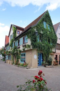 Idyllic half-timbered houses overgrown with ivy