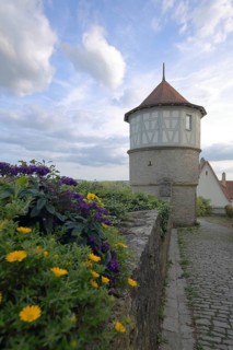 Historic tower and flower decoration