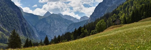 Meadow near Nostra