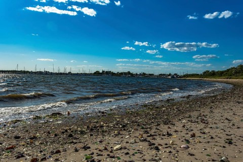 The Barren Island shore on the side of the Dead Horse Bay