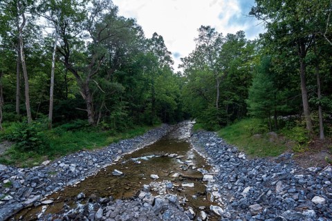 Robert H. Treman State Park. Tompkins County