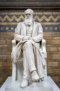 Naturalist Sir Charles Darwin