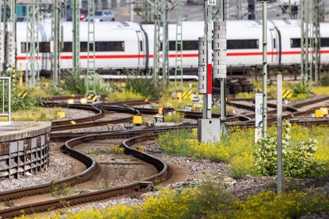 Track apron with rails and switches