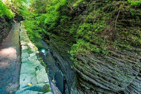 Watkins Glen State Park: Gorge Trail