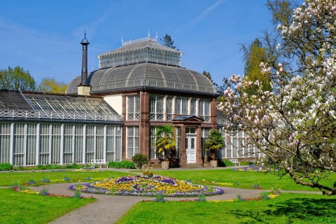 Gewaechshaus
