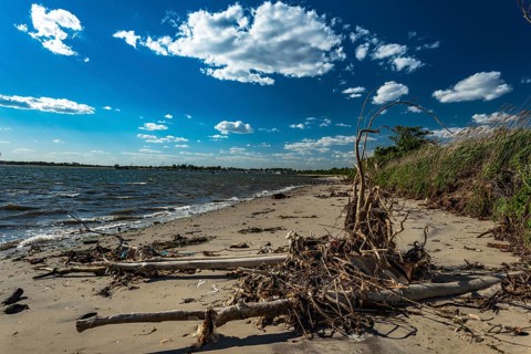 The Barren Island shore on the side of the Dead Horse Bay