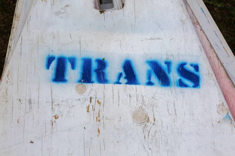 Painted blue Trans word on white wooden surface