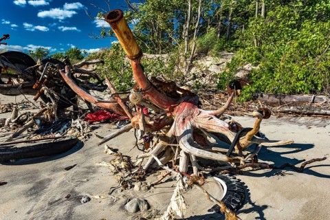 The Barren Island shore on the side of the Dead Horse Bay
