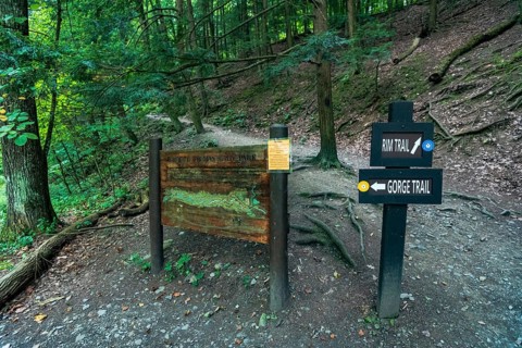 Robert H. Treman State Park: Gorge Trail. Tompkins County