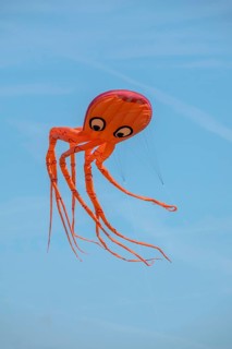 Dragon as an octopus at the Dragon Festival