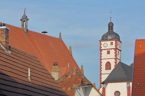 Tower of the baroque St. Augustine Church and roof of the town hall