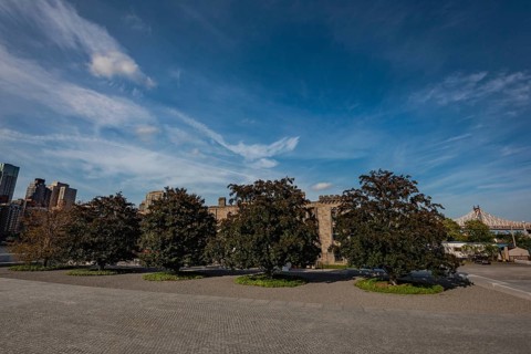 Roosevelt Island and Franklin D. Roosevelt Four Freedoms Park