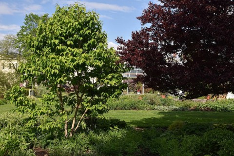 Spring at Snug Harbor Cultural Center and Botanical Garden