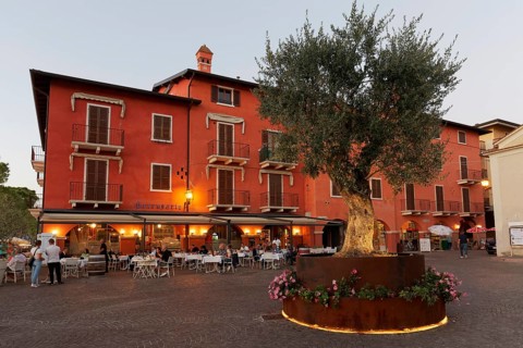 Square with olive tree and restaurant Berengario