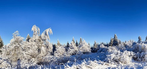 Snowy landscape in the Black Forest near Baiersbronn