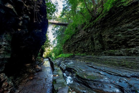 Watkins Glen State Park: Gorge Trail
