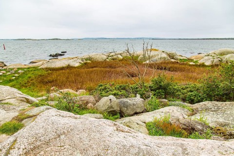 Typical glacier-carved rocks