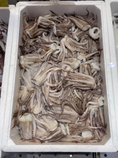 Display of caught fish Fresh fish tentacles of Argentine shortfin squid