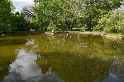 Spring at Snug Harbor Cultural Center and Botanical Garden