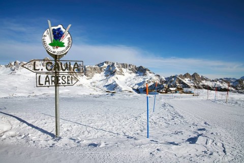 Ski area Passo San Pellegrino-Falcade