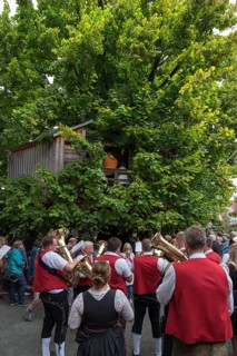 Brass band in front of the dance lime tree at the traditional dance lime tree festival
