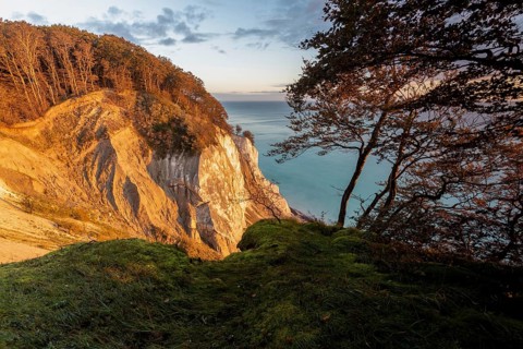 Morning sun shines on chalk cliff Moens Klint