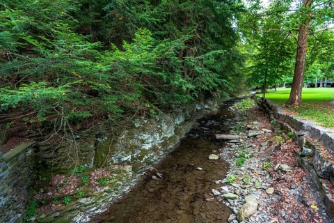 Robert H. Treman State Park: Gorge Trail. Tompkins County