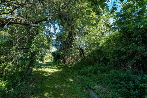 On the Millstone Trail towards the Dead Horse Bay off the Barren Island and Floyd Bennett Field. Brooklyn