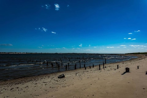 On the Millstone Trail towards the Dead Horse Bay off the Barren Island and Floyd Bennett Field. Brooklyn