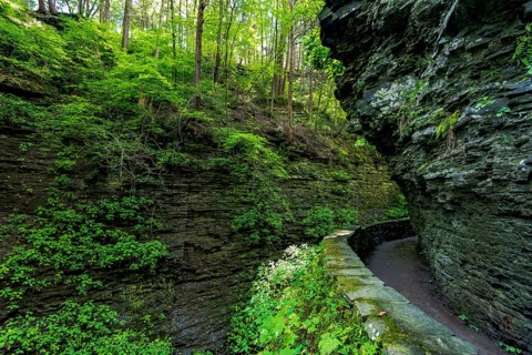 Watkins Glen State Park: Gorge Trail