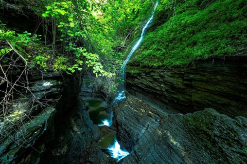 Watkins Glen State Park: Gorge Trail