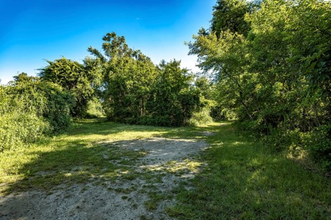 On the Millstone Trail towards the Dead Horse Bay off the Barren Island and Floyd Bennett Field. Brooklyn