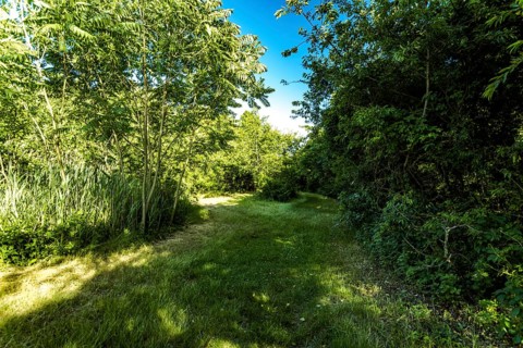 On the Millstone Trail towards the Dead Horse Bay off the Barren Island and Floyd Bennett Field. Brooklyn