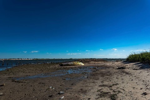 On the Millstone Trail towards the Dead Horse Bay off the Barren Island and Floyd Bennett Field. Brooklyn