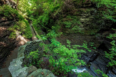 Watkins Glen State Park: Gorge Trail