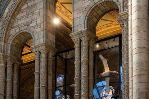 Ornate Columns