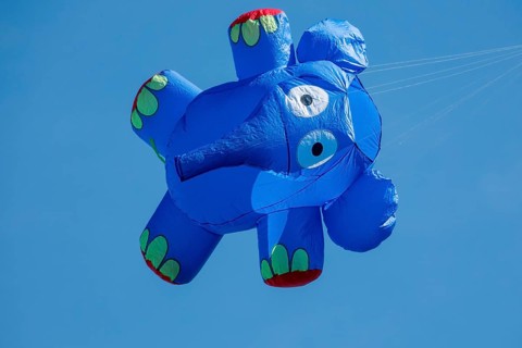 Elephant as dragon at the Dragon Festival