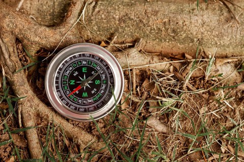 High angle compass tree