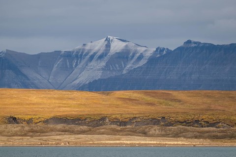 Coastal landscape