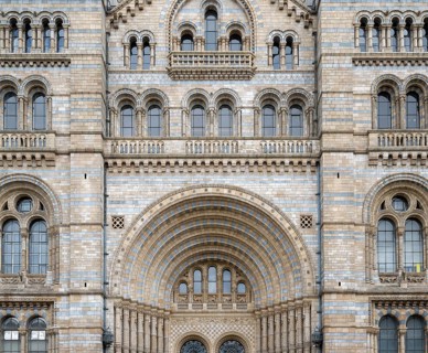 Natural History Museum or Museum of Natural History