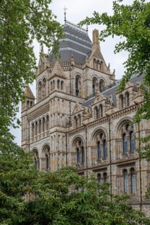 Natural History Museum or Museum of Natural History