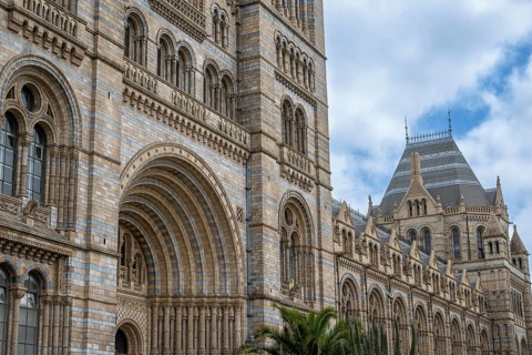 Natural History Museum or Museum of Natural History