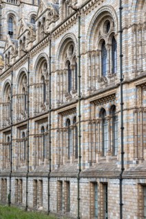 Natural History Museum or Museum of Natural History