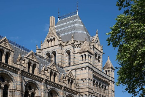 Natural History Museum or Museum of Natural History