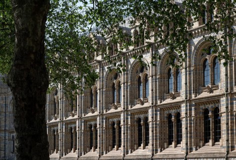 Natural History Museum or Museum of Natural History