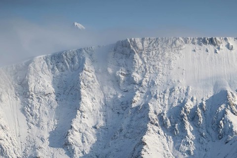 Isbjørnhamna