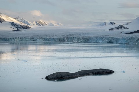 Hornbreen Glacier