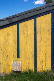 Yellow painted plywood sheet with blue trim and grey asphalt shingles roof storage shed