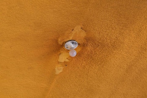 Lightbulb and socket on ceiling covered with foam insulation