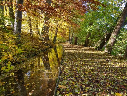 Autumn at the Krummbach in Ochsenhausen